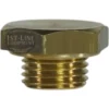 VBM RACCP226C Cap Nut