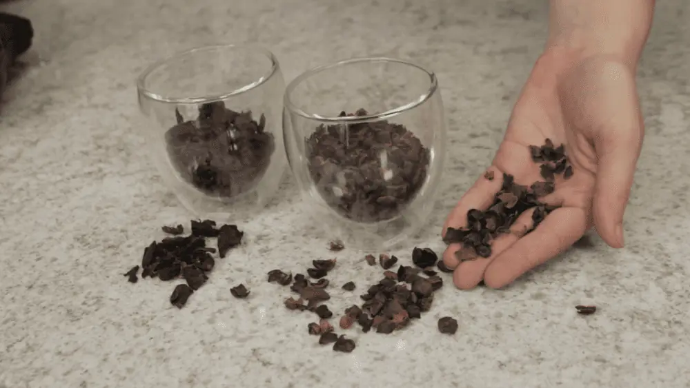 A hand holding cocoa nibs above a countertop, with two glass cups containing cocoa nibs and more nibs scattered on the surface, highlighting the health benefits and delicious versatility of these nutrient-rich treats.